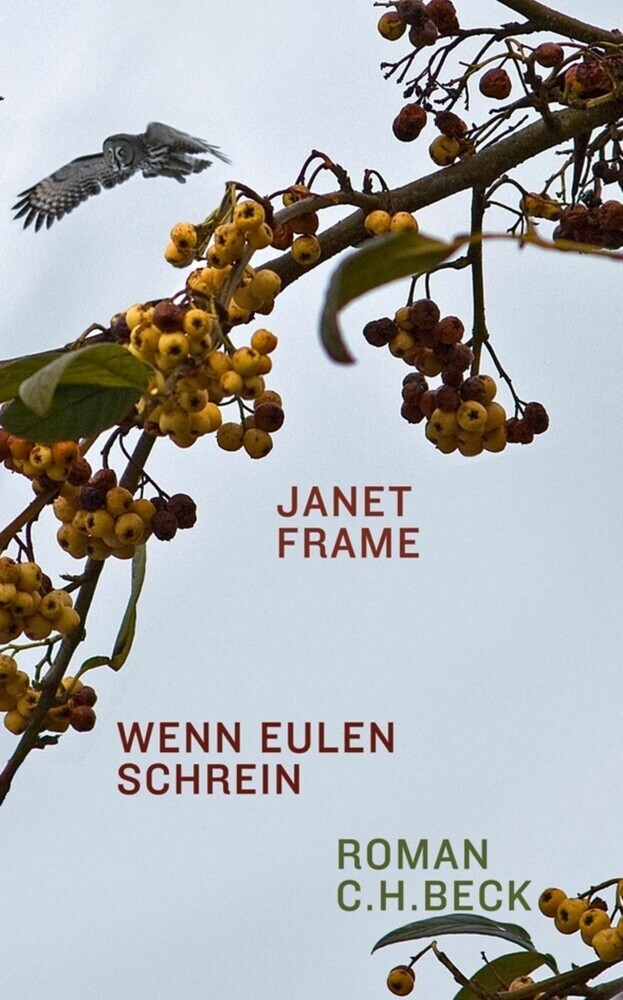 Wenn Eulen schrein main product photo