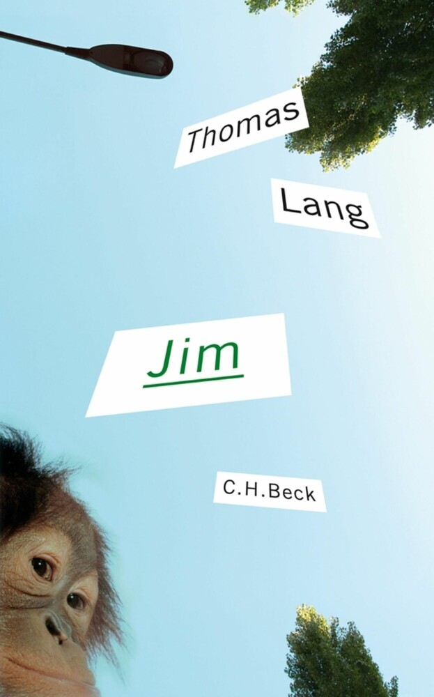 Jim main product photo
