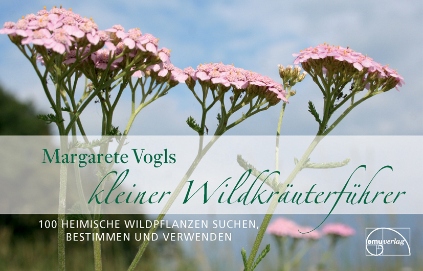 Kleiner Wildkräuterführer main product photo
