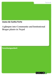 A glimpse into Community and Institutional Biogas plants in Nepal