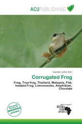 Corrugated Frog
