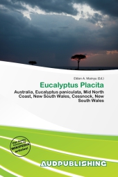 Eucalyptus Placita