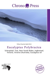 Eucalyptus Polybractea