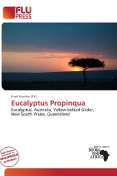 Eucalyptus Propinqua