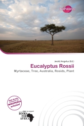 Eucalyptus Rossii