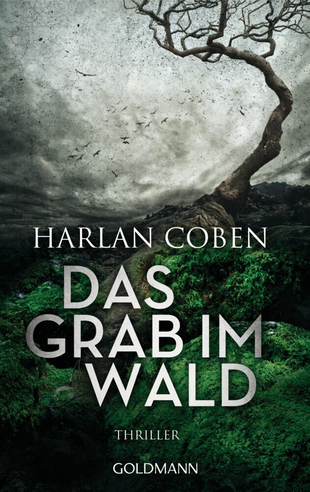 Das Grab im Wald main product photo