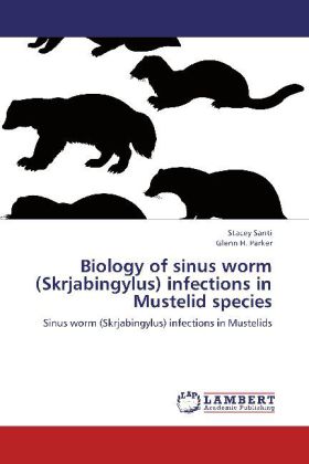 Biology of sinus worm (Skrjabingylus) infections in Mustelid s...