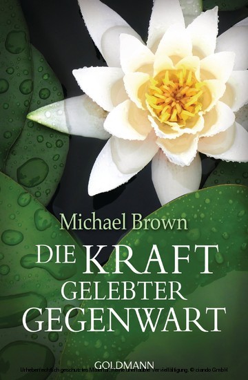Die Kraft gelebter Gegenwart main product photo