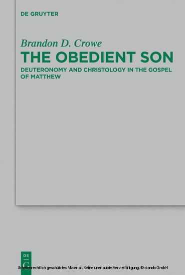 The Obedient Son main product photo
