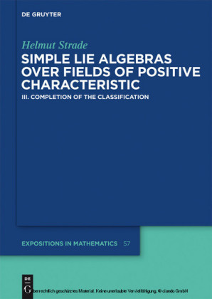 Completion of the Classification