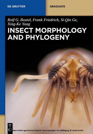 Insect Morphology and Phylogeny main product photo