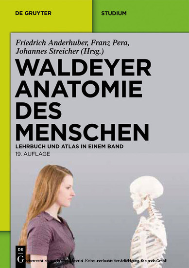 Waldeyer - Anatomie des Menschen main product photo