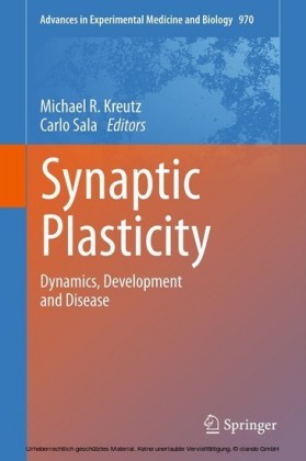 Synaptic Plasticity
