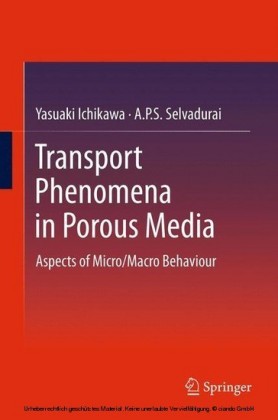 Transport Phenomena in Porous Media