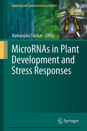 MicroRNAs in Plant Development and Stress Responses main product photo