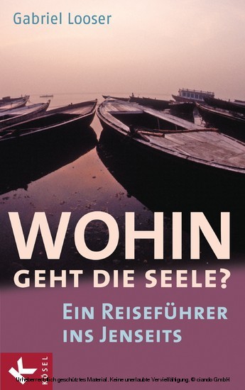 Wohin geht die Seele? main product photo