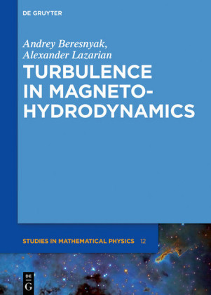 Turbulence in Magnetohydrodynamics