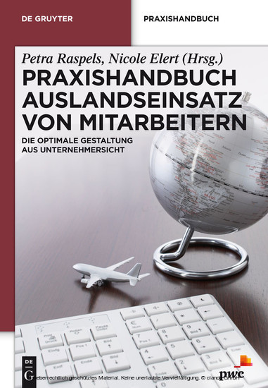 Praxishandbuch Auslandseinsatz von Mitarbeitern main product photo