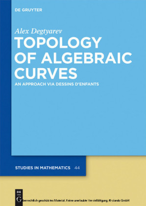 Topology of Algebraic Curves