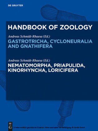 Nematomorpha, Priapulida, Kinorhyncha, Loricifera