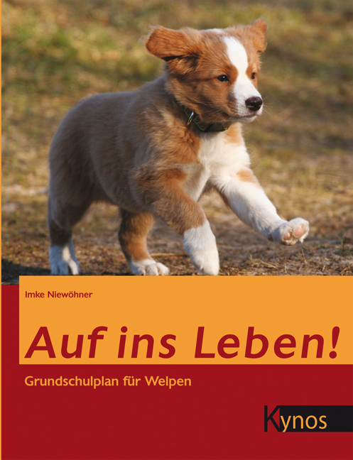 Auf ins Leben! main product photo