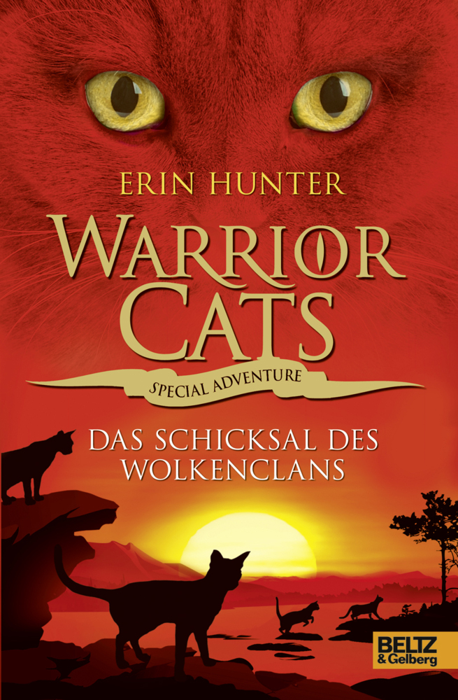 Warrior Cats, Special Adventure, Das Schicksal des WolkenClans main product photo