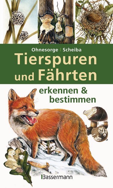 Tierspuren und Fährten erkennen & bestimmen main product photo
