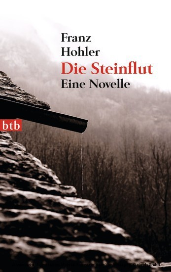 Die Steinflut main product photo