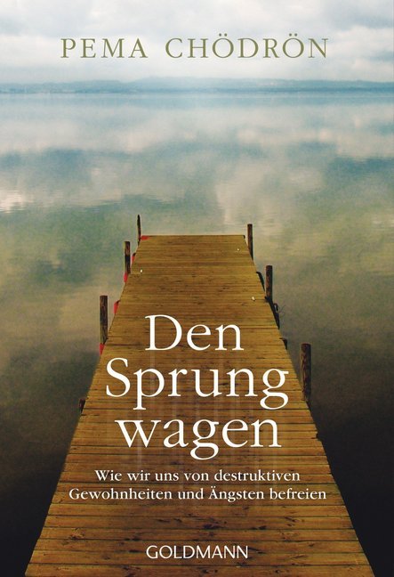 Den Sprung wagen main product photo