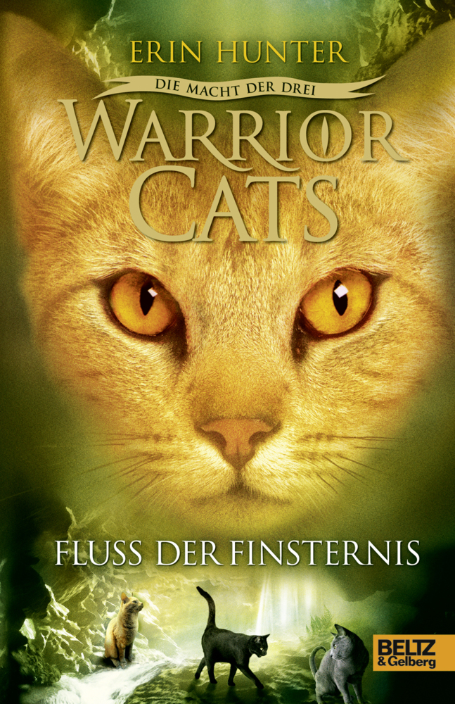 Warrior Cats, Die Macht der drei, Fluss der Finsternis main product photo