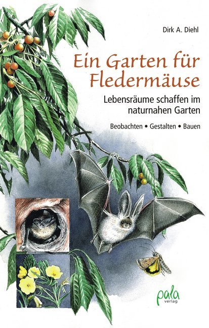 Ein Garten für Fledermäuse main product photo