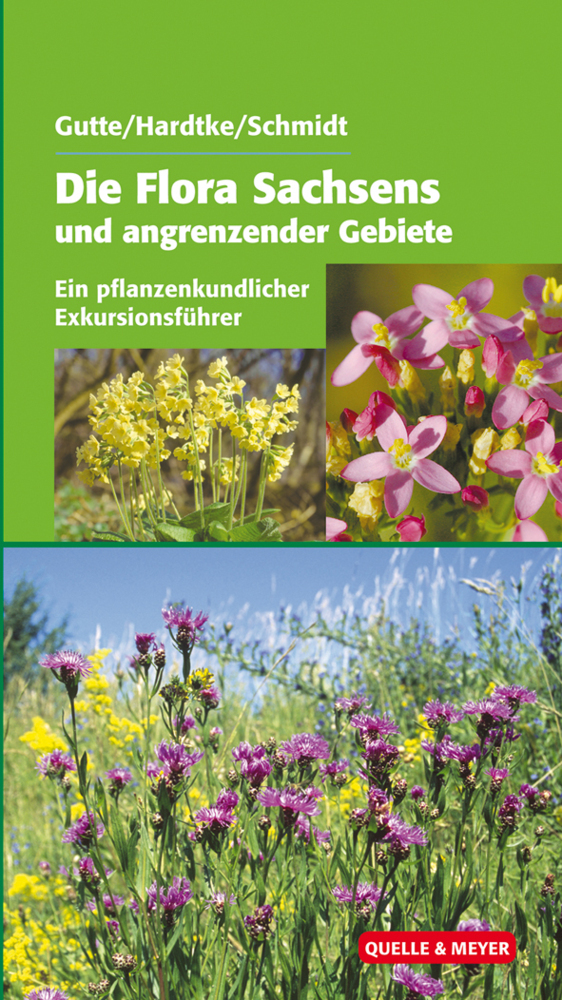 Die Flora Sachsens und angrenzender Gebiete main product photo