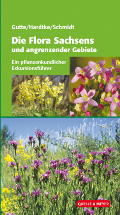 Die Flora Sachsens und angrenzender Gebiete