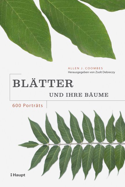 Blätter und ihre Bäume main product photo