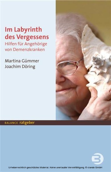 Im Labyrinth des Vergessens main product photo