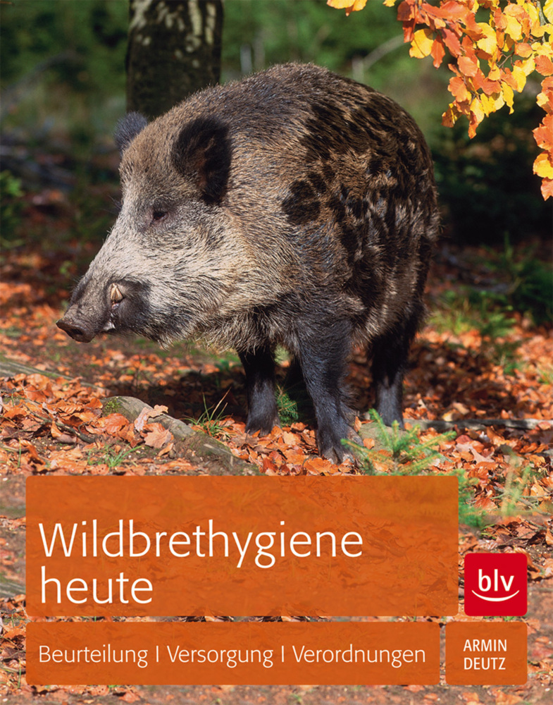 Wildbrethygiene heute main product photo