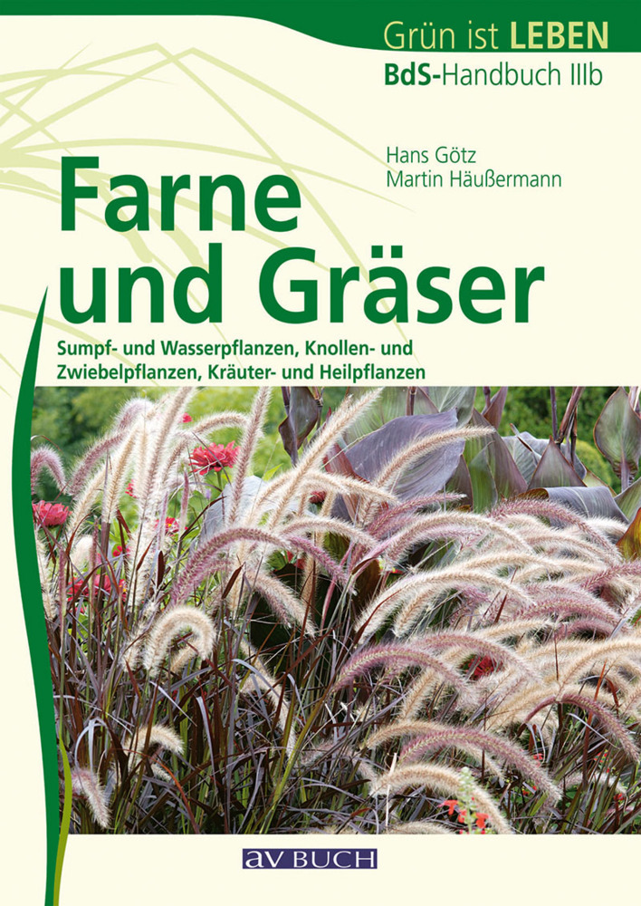 Farne und Gräser main product photo