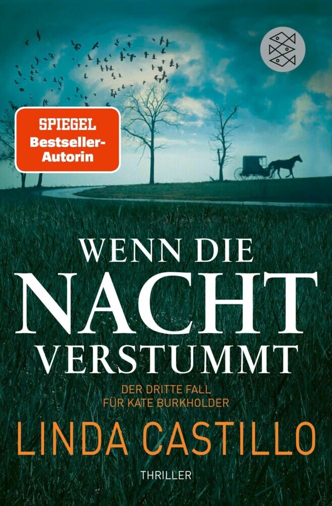 Wenn die Nacht verstummt main product photo
