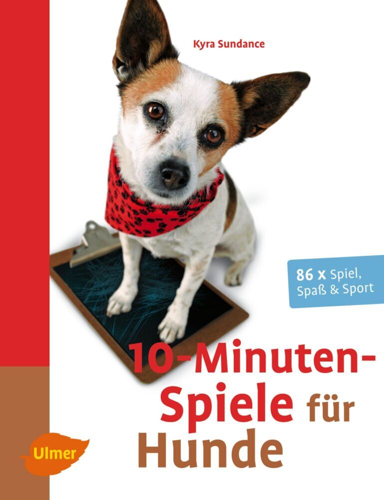 10-Minuten-Spiele für Hunde main product photo