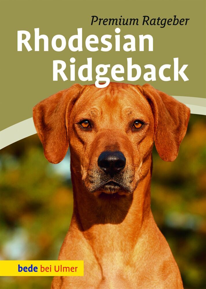 Rhodesian Ridgeback main product photo