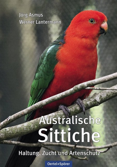 Australische Sittiche main product photo