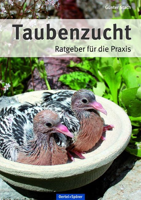 Taubenzucht main product photo