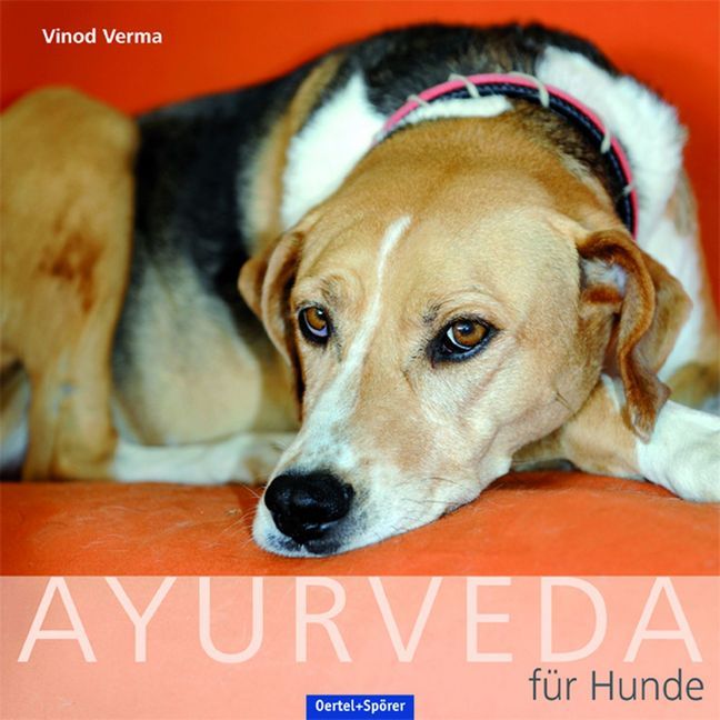 Ayurveda für den Hund main product photo
