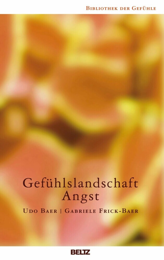 Gefühlslandschaft Angst main product photo