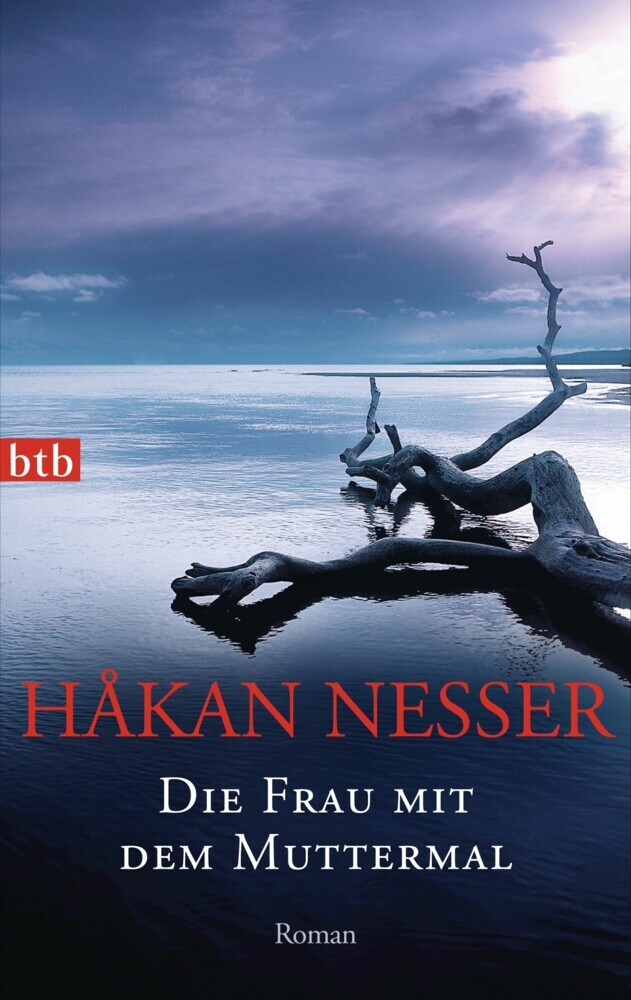 Die Frau mit dem Muttermal main product photo