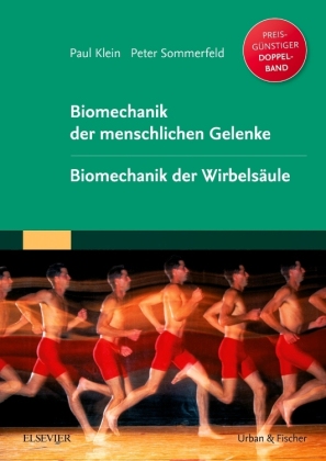 Biomechanik der menschlichen Gelenke. Biomechanik der Wirbelsäule