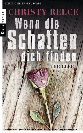 Wenn die Schatten dich finden main product photo