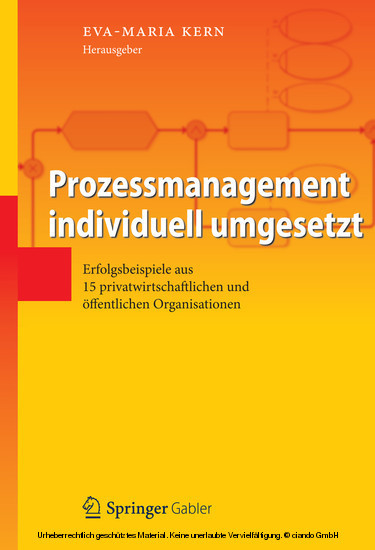 Prozessmanagement individuell umgesetzt main product photo