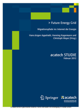 Future Energy Grid