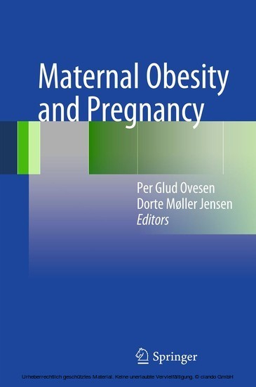 Maternal Obesity and Pregnancy main product photo